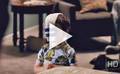 Teaser van de film American Pie: Reunion