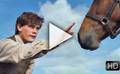 Bande-annonce du film Cheval de guerre
