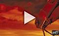 Bande-annonce du film Cheval de guerre