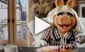 Bande-annonce du film Les Muppets