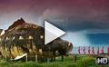 Bande-annonce du film The Act of Killing