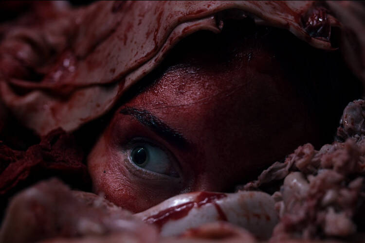 














































    
    
    
    
        
    
    
        
    










    Bande-annonce du film Abattoir


