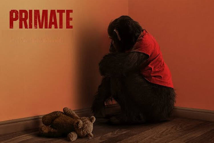 Bande-annonce du film Primate