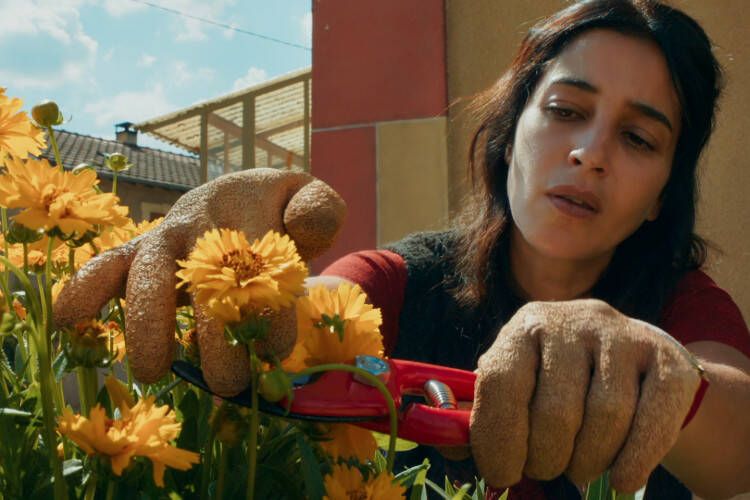 














































    
    
    
    
        
    
    
        
    










    Bande-annonce du film Changer l'eau des fleurs



