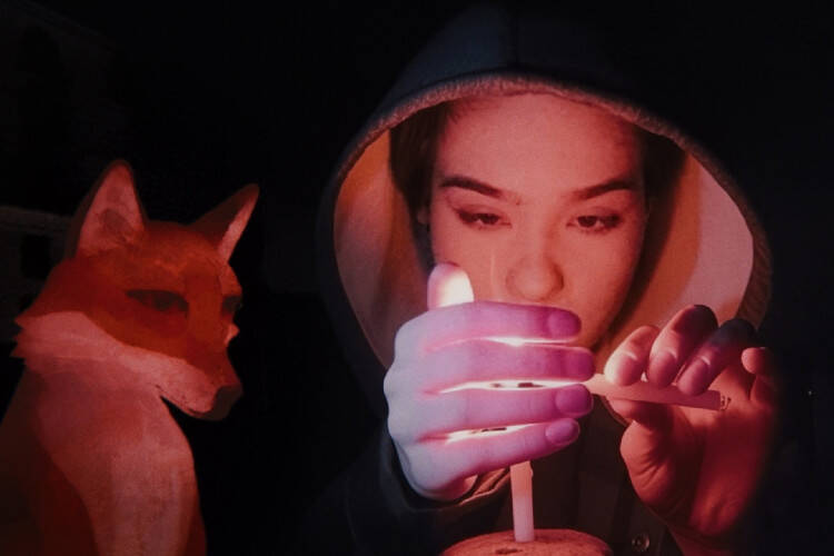 














































    
    
    
    
        
    
    
        
    










    Bande-annonce du film A Fox Under a Pink Moon


