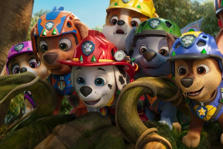 














































    
    
    
    
        
    
    
        
    










    Bande-annonce du film La Pat' Patrouille - Le Film: Mission Dino


