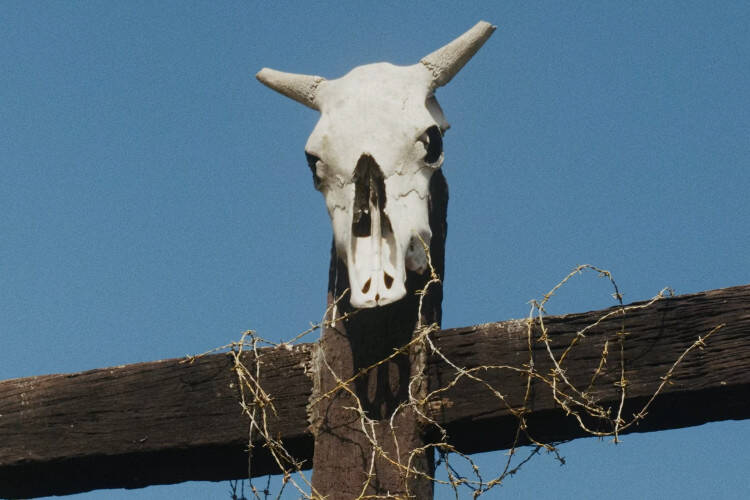 














































    
    
    
    
        
    
    
        
    










    Bande-annonce du film Retour à Fukushima


