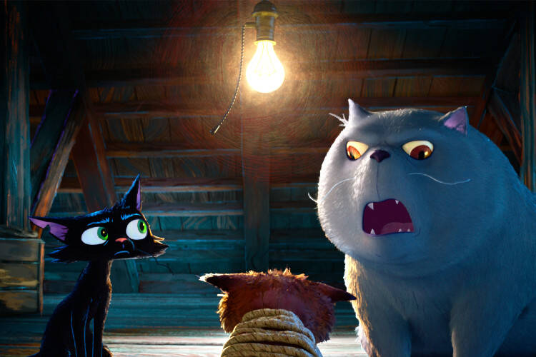 














































    
    
    
    
        
    
    
        
    










    Bande-annonce du film Nero, chat noir


