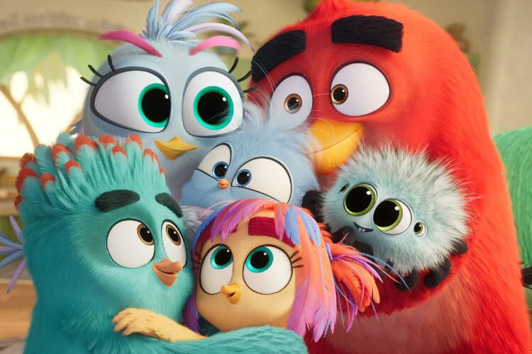 














































    
    
    
    
        
    
    
        
    










    Bande-annonce du film Angry Birds 3 - La grande envolée


