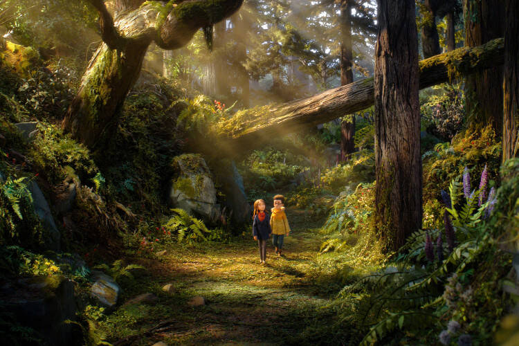 














































    
    
    
    
        
    
    
        
    










    Bande-annonce du film Prue et la prophétie de la forêt


