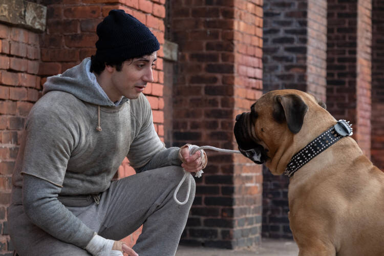 














































    
    
    
    
        
    
    
        
    










    Bande-annonce du film I Play Rocky


