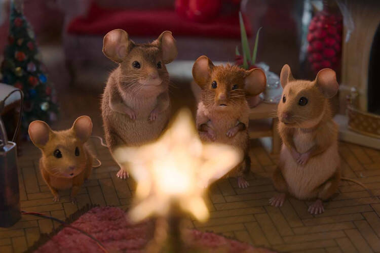 














































    
    
    
    
        
    
    
        
    










    Bande-annonce du film Panique à Noël


