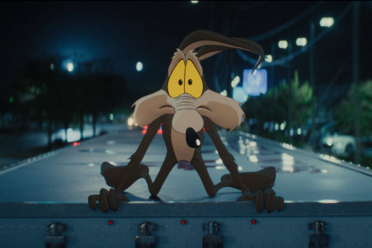














































    
    
    
    
        
    
    
        
    










    Bande-annonce du film Coyote vs. Acme


