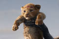 Bande-annonce du film Le Roi Lion