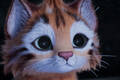 Photo 9 en grand format