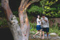 Photo 1 en grand format