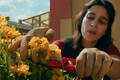 














































    
    
    
    
        
    
    
        
    










    Bande-annonce du film Changer l'eau des fleurs


