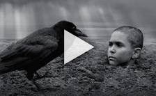 Bande-annonce du film The Painted Bird